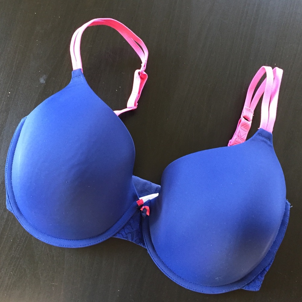 Blue and Pink DKNY Plunge Bra